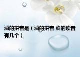 淌的拼音是（淌的拼音 淌的讀音有幾個(gè)）