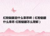 紅粉骷髏是什么意思啊（紅粉骷髏什么意思 紅粉骷髏怎么理解）