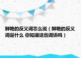 鮮艷的反義詞怎么說(shuō)（鮮艷的反義詞是什么 你知道這些詞語(yǔ)嗎）