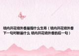 墻內(nèi)開花墻外香是指什么生肖（墻內(nèi)開花墻外香下一句對聯(lián)是什么 墻內(nèi)開花墻外香的后一句）