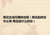 菊花古詩(shī)元稹拼音版（菊花的拼音怎么寫 菊花是什么拼音）