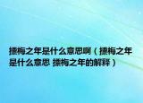 摽梅之年是什么意思啊（摽梅之年是什么意思 摽梅之年的解釋）