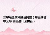 三字經(jīng)全文帶拼音完整（哪里拼音怎么寫 哪里是什么拼音）