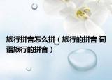 旅行拼音怎么拼（旅行的拼音 詞語旅行的拼音）