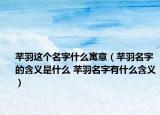芊羽這個名字什么寓意（芊羽名字的含義是什么 芊羽名字有什么含義）