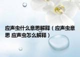 應聲蟲什么意思解釋（應聲蟲意思 應聲蟲怎么解釋）