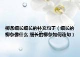 柳條細長細長的補充句子（細長的柳條像什么 細長的柳條如何造句）