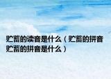 貯蓄的讀音是什么（貯蓄的拼音 貯蓄的拼音是什么）