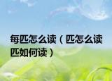 每匹怎么讀（匹怎么讀 匹如何讀）