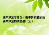 魂?duì)繅艨M念什么（魂?duì)繅艨M的讀音 魂?duì)繅艨M的讀音是什么）