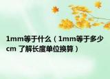 1mm等于什么（1mm等于多少cm 了解長度單位換算）