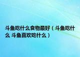 斗魚(yú)吃什么食物最好（斗魚(yú)吃什么 斗魚(yú)喜歡吃什么）