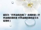 被稱(chēng)為“世界油庫(kù)的閘門(mén)”的海峽是（世界油閥的海峽是 世界油閥的海峽霍爾木茲海峽）