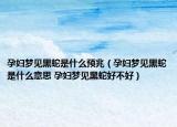 孕婦夢見黑蛇是什么預兆（孕婦夢見黑蛇是什么意思 孕婦夢見黑蛇好不好）