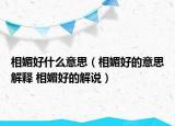 相媚好什么意思（相媚好的意思解釋 相媚好的解說）