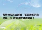 蓄勢(shì)待發(fā)怎么理解（蓄勢(shì)待發(fā)的意思是什么 蓄勢(shì)待發(fā)名詞解釋?zhuān)? /></span></a>
                        <h2><a  title=