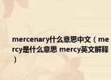 mercenary什么意思中文（mercy是什么意思 mercy英文解釋?zhuān)? /></span></a>
                        <h2><a  title=
