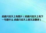 此曲只應(yīng)天上有圖片（此曲只應(yīng)天上有下一句是什么 此曲只應(yīng)天上原文及翻譯）