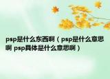 psp是什么東西?。╬sp是什么意思啊 psp具體是什么意思?。? /></span></a>
                        <h2><a href=
