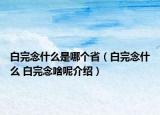 白完念什么是哪個?。ò淄昴钍裁?白完念啥呢介紹）