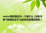 coisini情侶網(wǎng)名另一個(gè)是什么（好聽不俗氣的情侶名字 比較好聽的情侶網(wǎng)名）