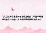 飛入百姓尋常家上一句古詩是什么（吹面不寒楊柳風(fēng)的上一句是什么 吹面不寒楊柳風(fēng)的古詩）