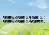 明朗的近義詞是什么詞語是什么（明朗的近義詞是什么 明朗的意思）
