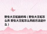 野生大王蛇能吃嗎（野生大王蛇怎么養(yǎng) 野生大王蛇怎么養(yǎng)的方法是什么）