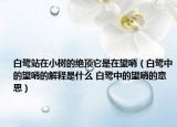 白鷺站在小樹(shù)的絕頂它是在望哨（白鷺中的望哨的解釋是什么 白鷺中的望哨的意思）