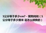 1公分等于多少cm? - 搜狗問問（1公分等于多少厘米 是怎么轉(zhuǎn)換的）