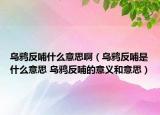 烏鴉反哺什么意思?。貘f反哺是什么意思 烏鴉反哺的意義和意思）