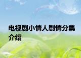 電視劇小情人劇情分集介紹