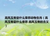 高風(fēng)玉骨是什么意思動(dòng)物生肖（高風(fēng)玉骨是什么意思 高風(fēng)玉骨的含義）
