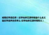 城南舊事讀后感（舊事如藤花滿枝椏是什么含義是舊事很多的意思么 舊事如藤花滿枝椏釋義）
