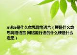 m和s是什么意思網(wǎng)絡(luò)語言（梗是什么意思網(wǎng)絡(luò)語言 網(wǎng)絡(luò)流行語的什么梗是什么意思）