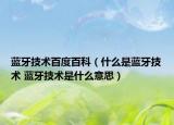 藍(lán)牙技術(shù)百度百科（什么是藍(lán)牙技術(shù) 藍(lán)牙技術(shù)是什么意思）
