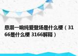 懸溺一響純愛登場(chǎng)是什么梗（3166是什么梗 3166解釋）