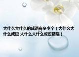 大什么大什么的成語(yǔ)有多少個(gè)（大什么大什么成語(yǔ) 大什么大什么成語(yǔ)精選）