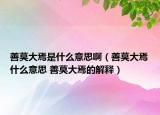 善莫大焉是什么意思啊（善莫大焉什么意思 善莫大焉的解釋）
