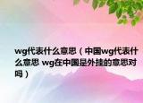 wg代表什么意思（中國(guó)wg代表什么意思 wg在中國(guó)是外掛的意思對(duì)嗎）