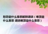 愁怨是什么意思解釋詞語(yǔ)（難頂是什么意思 詞語(yǔ)難頂是什么意思）