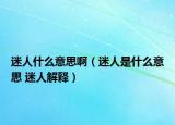 迷人什么意思?。匀耸鞘裁匆馑?迷人解釋）