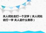 夫人何處去打一個漢字（夫人何處去打一字 夫人是什么意思）