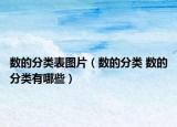 數(shù)的分類表圖片（數(shù)的分類 數(shù)的分類有哪些）