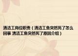 清潔工崗位職責（清潔工魚突然死了怎么回事 清潔工魚突然死了原因介紹）