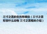 三寸之舌的生肖有哪些（三寸之舌形容什么動物 三寸之舌相關介紹）