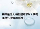 梗概是什么 梗概的意思?。ü８攀鞘裁?梗概的意思）