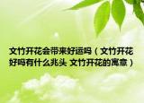 文竹開花會(huì)帶來好運(yùn)嗎（文竹開花好嗎有什么兆頭 文竹開花的寓意）