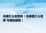 鳥瞰什么意思?。B瞰是什么意思 鳥瞰的解釋）