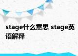 stage什么意思 stage英語解釋
